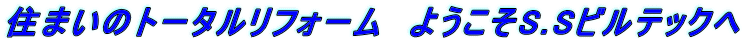 �Z�܂��̃g�[�^�����t�H�[���@�悤����S.S�r���e�b�N�� 
